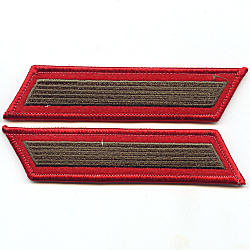 Alphas Service Stripe