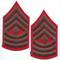 H First Sergeant (1st Sgt) Alphas Chevrons