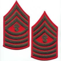 I Master Gunnery Sergeant (MGySgt) Alphas Chevron