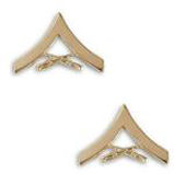 B. LCPL GOLD SATIN/MAT FINISH CHEVRONS - PAIR