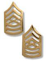 G. MASTER SGT GOLD SATIN/MATT FINISH CHEVRONS - PAIR