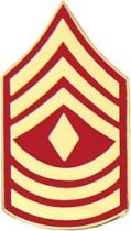 H. 1ST SGT (FIRST SERGEANT) RANK PIN